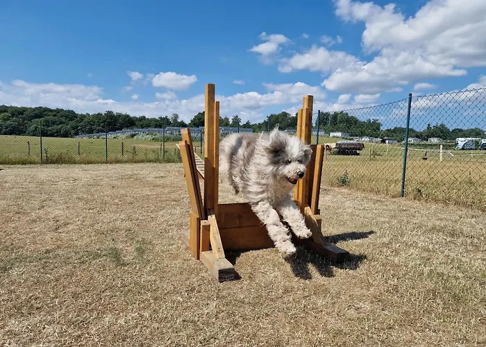 Ostseeferienpark Walkyrien - Bootsmann 09 *